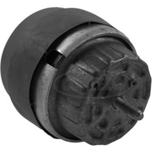 Corteco 80004293 Yataklama. Motor