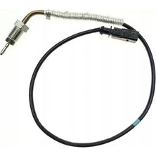 Delphi TS30334-12B1 Egzoz Sıcaklık Sensörü Audi A1 A1 Sportback A3 A3 Cabrio A3 Quattro A3 Sportback