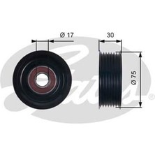 Gates T36320 Alternatör Gergi Rulmanı Accord I2.4ı 08 K24Z3 Civic Vıı Vııı 2.0ı 01 K20A2 A3 Z4 31190