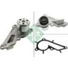 Ina 538096610 Devirdaim Pompası Mercedes M282 X247 W177 W247 C118 H247 . Renault Talisman 15 Megane