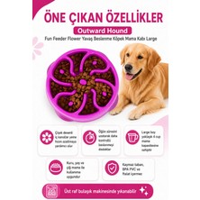 Outward Hound Fun Feeder Flower Yavaş Beslenme Köpek Mama Kabı Large