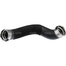Rapro 19090 Turbo Hortumu Mini F53 62784BW