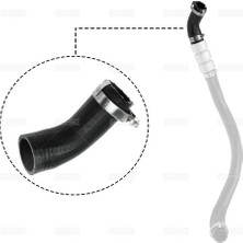 Rapro 16217 Turbo Hortumu Küçük Transit V 2.2 T Dcı 06> 1709502