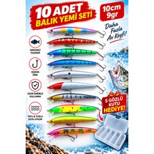 Cappadocians Minnow Suni Balık Yemi 10 cm 9 gr - Levrek - Lüfer - Palamut - Turna Alabalık Spin At-Çek Yapay Yem 10’lu Kutu Hediyeli