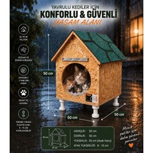 Narım Kedi Evi Kedi Yuvası Yeni Doğum Yapan Anne ve 5 Yavru Için Ideal Boyut
