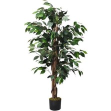 Nettenevime Yapay Ağaç Benjamin 2 Gövdeli Çalılı 120X70CM Siyah Plastik Saksılı
