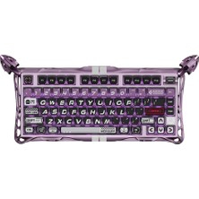 Happy Trend Mercury V75 Pro He Hall Effect Manyetik Switch Gaming Klavye, Hot-Swappable, Rapid Trigger, 8000Hz, 0.125MS Ultra Düşük Gecikme, Kablolu, Rgb Işıklı, Ingilizce Q, Iron Purple