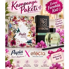 Papia Papıa Home Ev Tıpı Askılı Z Havlu 250 Lı*12 PK-50008141
