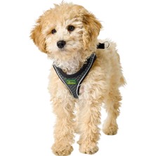 Hunter Köpek Göğüs Tasması Hilo Comfort Gri Siyah Xs-S