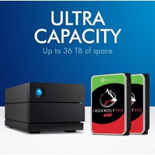 Lacie 2big Raid Thunderbolt 4 STHJ28000800 2 Yuvalı 28 Tb Nas Depolama Ünitesi Outlet