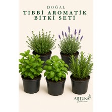 ARTUKA Tıbbi Aromatik Bitki Tohumu Seti (350+ Ad) | Kekik, Lavanta, Nane, Fesleğen, Biberiye Tohumu