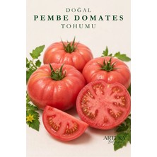 ARTUKA Doğal Pembe Domates Tohumu (100 Ad) | Ata Tohum