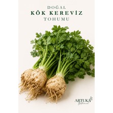 ARTUKA Doğal Kök Kereviz Tohumu (1000+ Ad) | Ata Tohum