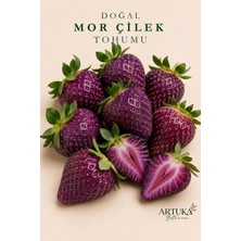 ARTUKA Doğal Mor Çilek Tohumu (20 Ad) | Egzotik Çilek Tohumu