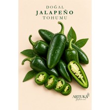 ARTUKA Doğal Jalapeno Biber Tohumu (100 Ad) | Ata Tohum