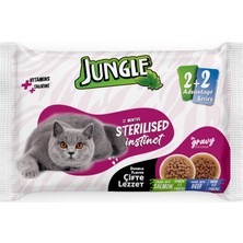 Mey İthalat Kısır Kediler Için Somon ve Biftekli Çift Lezzet Pouch, 4 x 100 G