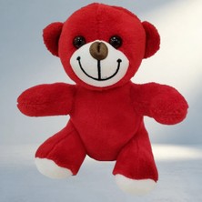 TCX Şık Peluş Hediye Seçeneği