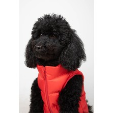 Mey İthalat Kırmızı, Su Geçirmez Puffer Köpek Montu, Küçük ve Orta Irklar, Medium