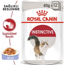 Mey İthalat Instinctive Jelly Yetişkin Kedi Konservesi 85 G