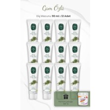 Mey İthalat Çam Özlü Diş Macunu 90 ml x 12 Adet ve Kulak Çubuğu