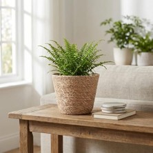 Mey İthalat Deconox Içi Poşetli El Yapımı 15 x 14 cm Yuvarlak Saksı