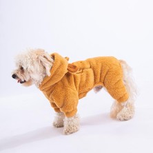 Mey İthalat Latte Koala Peluş Küçük Irk Köpek Tulumu L