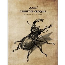 Mey İthalat 21,6 x 27,9 cm 120 Pastels Fusain Estompes Et Feutres Couverture Souple Cr Ative Grand Format Pages The Sketch Artist Artiste Carnet De Croquis Pour Dessins Papier Crayons