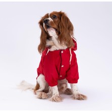 Mey İthalat Kırmızı Küçük-Büyük Irklar Için Köpek Yağmurluğu 2xl