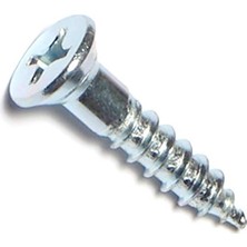 Mey İthalat 014973293765 Ahşap 30 x 2,5 cm 100 Parça Phillips Düz Vidalar