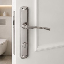 Mey İthalat Wc Banyo Kapı, Inox Sağa Açılır, 1 Takım, Kolu Aynalı Nikel, Banyo Tuvalet Kapısı