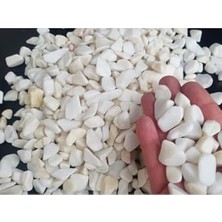 Mey İthalat Beyaz Dolomit Taş 500 G, 1-2 Cm, Dere Çakıl Taşı, Saksı, Akvaryum, Teraryum ve Bahçe Taşı, No.2m