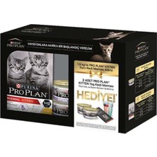 Mey İthalat Yavru Kedi Başlangıç Seti: 1,5 kg Kuru Mama, 2 Adet Konserve ve Ölçü Kabı, Pr-K1.5y