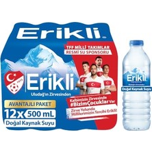 Mey İthalat Doğal Kaynak Suyu, Pet Şişe, 12 x 500 ml