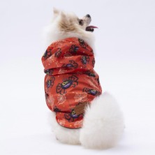 Mey İthalat Spider 6xl Köpek Montu ve Yağmurluğu, Küçük-Büyük Irklar Için