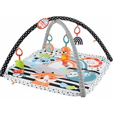 Mey İthalat Fisher Price Neşeli Hayvanlar 3'ü 1 Arada Jimnastik Merkezi HBP41 Renkli 0+