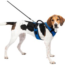 Mey İthalat Easy Sport Harness Mavi Köpek Göğüs Tasması Large (71-107 Cm)