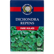 Dichondra Repens Fare Kulağı Tohumu 500 gr