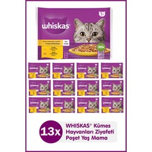 Mey İthalat Jelly'de 1+ Yetişkin Tavuk Kümes Hayvanı Seçimi; 40 Torba, Yetişkin Islak Kedi Yemi, Megapack (40 x 85 G)