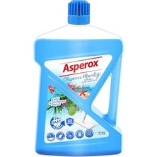 Mey İthalat Okyanus Maviliği Yüzey Temizleyici Sedir & Sardunya Paçuli 2500 ml (6 Paketi)