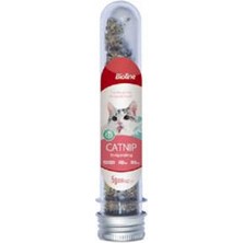 Kentex Catnip Kedi Otu 5 gr