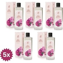 Mey İthalat Bouquet Kolonya, 250 Ml, 5'li Avantaj Paketi