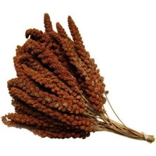 Mey İthalat Kızıl Dal Darı, 500 G