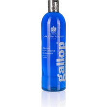Mey İthalat Gri Atlara Özel Şampuan, 500 ml