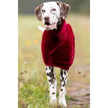 Mey İthalat Doğal Pamuklu, Ayarlanabilir Belli Köpek Bornozu, X-Large