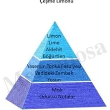 Mey İthalat Çeşme Limonu 180 ml Cam Şişe Dökme Kolonya Edc