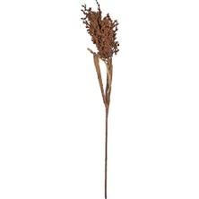 Mey İthalat Koyu Pampus Çimi Dekoru, 86 Cm, Doğal