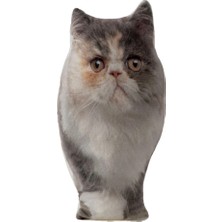 Mey İthalat 3 Boyutlu Kedi Yastığı Exotic No 4 40X25 cm