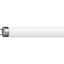 Mey İthalat Master Tl-D Snow White Floresan Ampul, 18W