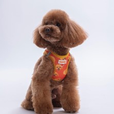 Poodle Air-Mesh Göğüs Tasması Kedi Köpek Göğüs Tasması
