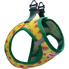 Pawstar Air-Mesh Watermelon Köpek Göğüs Tasması (S)